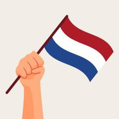 top-10-nederlandstalige-bordspellen