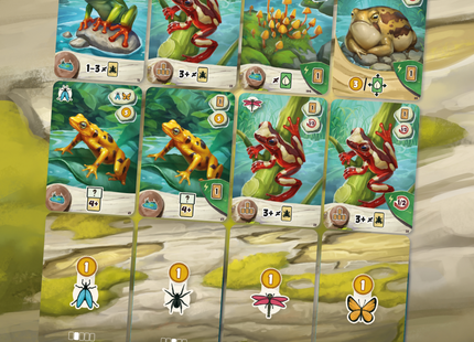 Pondscape - Kaartspel (NL)