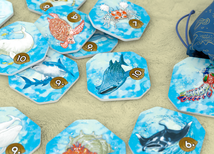 Shallow Sea - Bordspel (NL) [PRE ORDER]