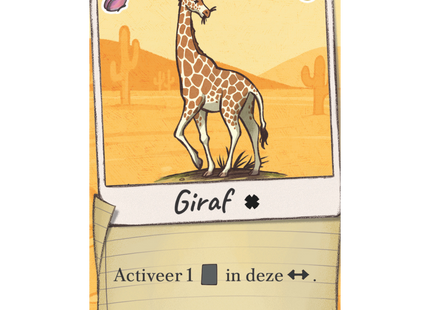 Berenbenodigdheden: Compleet Pakket - Bordspel (NL) [PRE ORDER]