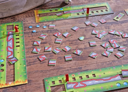 bordspellen-blus-de-brand (1)