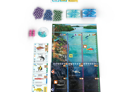 Finspan: Haaien en Riffen uitbreiding (NL) [PRE ORDER]