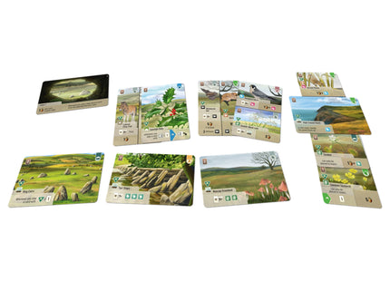 Forest Shuffle Dartmoor: Exmoor-Erweiterung (ENG)