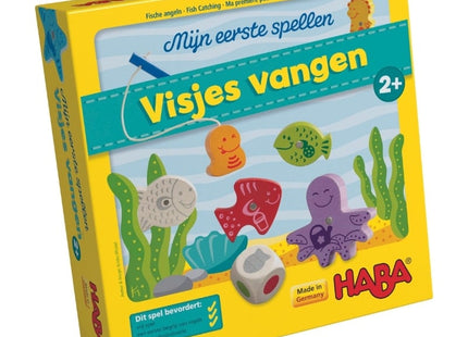 bordspellen-visjes-vangen