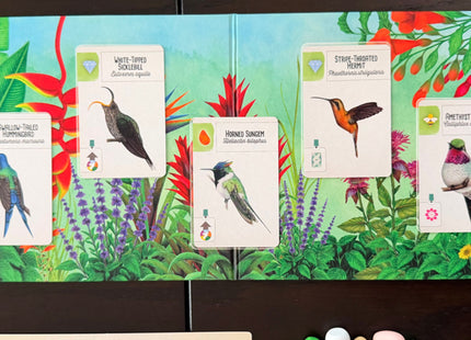 Wingspan: Americas uitbreiding (ENG) [PRE ORDER]