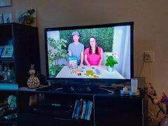 <strong>NOS Die Abendbühne</strong>