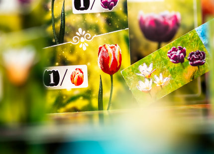 Frosted Blooms - Bordspel (NL) [PRE ORDER]