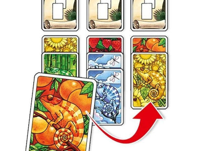 kaartspellen-coloretto (2)