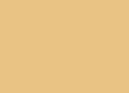 miniatuur-verf-vallejo-air-beige-17-ml