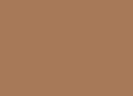 miniatuur-verf-vallejo-cork-brown-17-ml